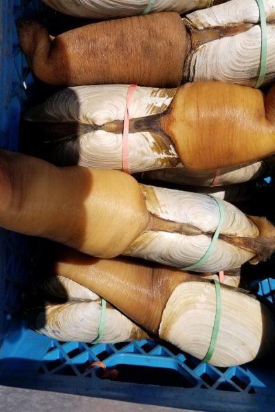 WhatsApp Image 2025-12-24 at 5.39.07 AM (1)